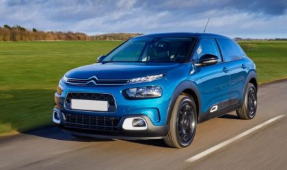C4 Cactus